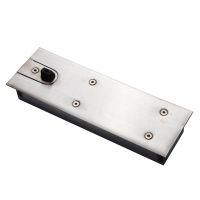 EXIDOR 995 - FLOOR SPRING WITH HEAVY DUTY BACKCHECK